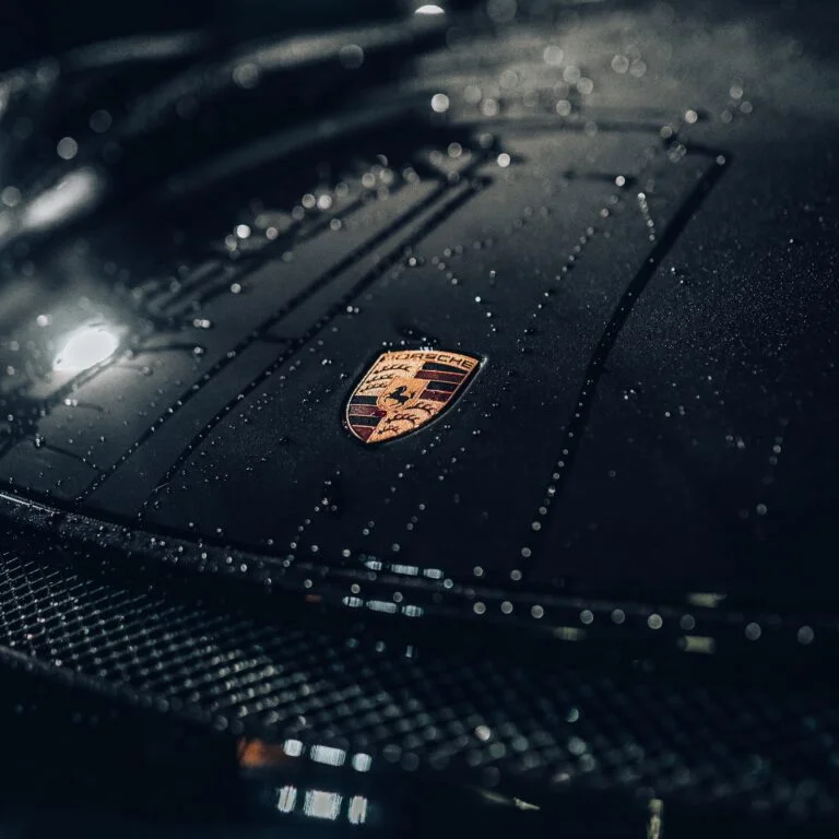 Hood and logo of a car