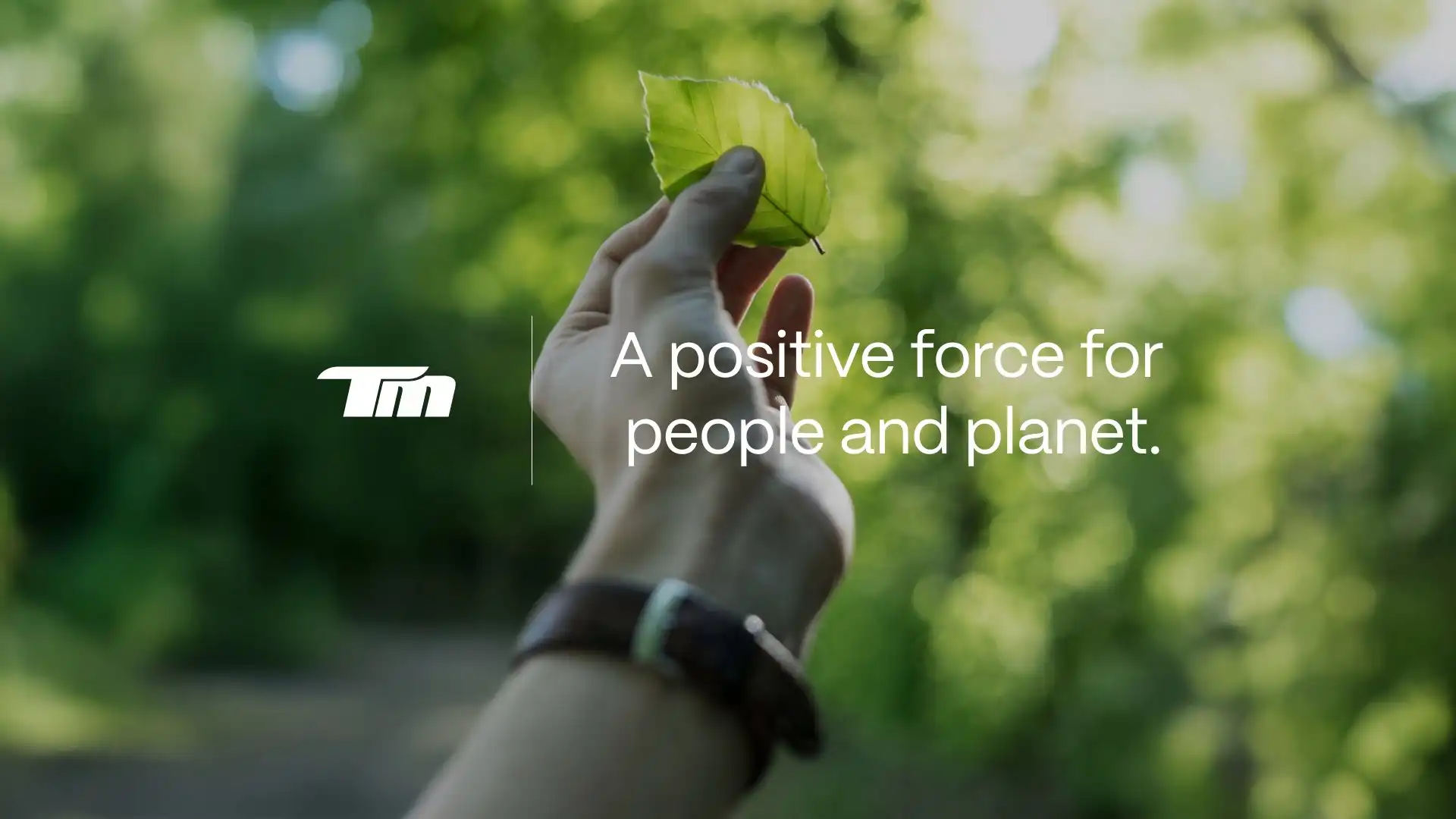 Technimark Sustainability