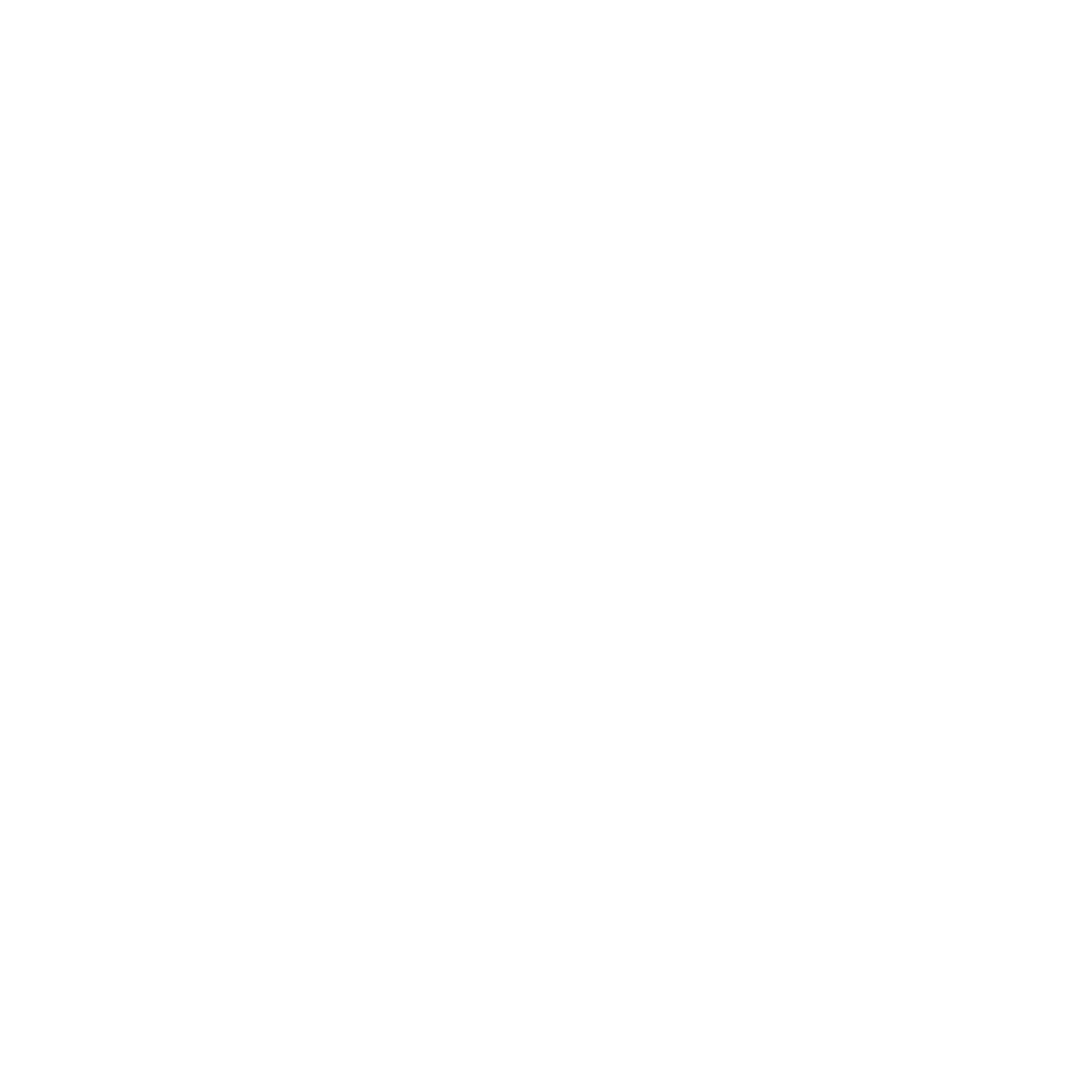 Claude Opus Model