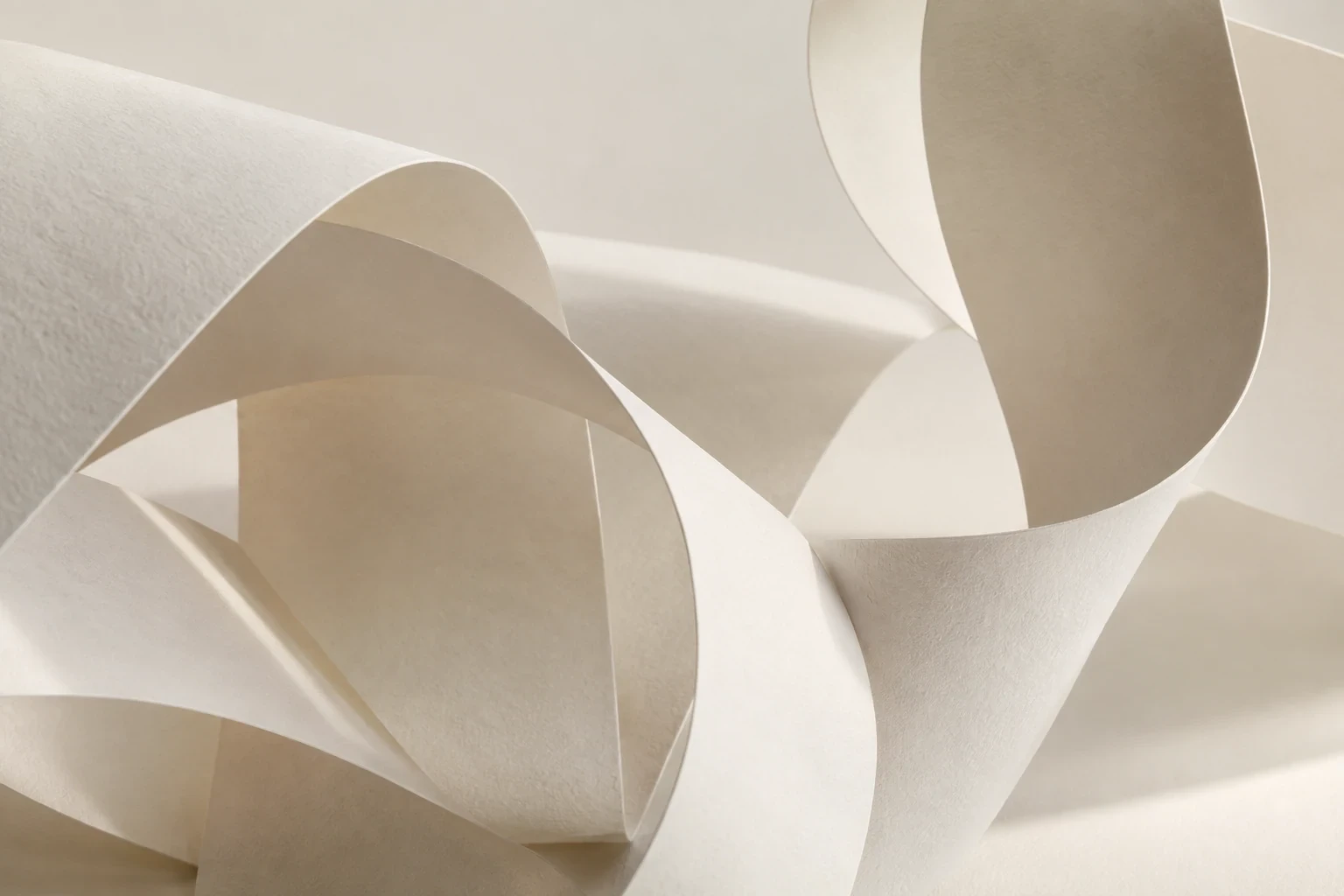Close-up of overlapping curved cream paper ribbons with delicate relief shadows on warm white