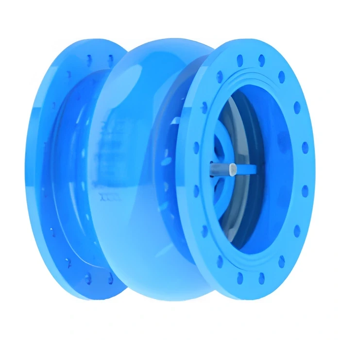 Swing Check Valve (Variant 2)