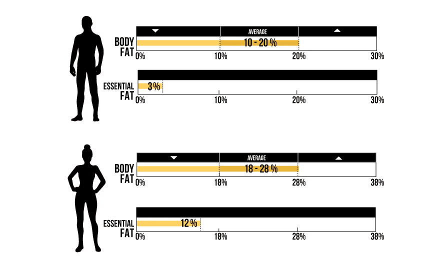 Body fat percentage chart for males and females. The top shows a male silhouette with 3% essential fat and an average range of 10-20%. The bottom shows a female silhouette with 12% essential fat and an average range of 18-28%.