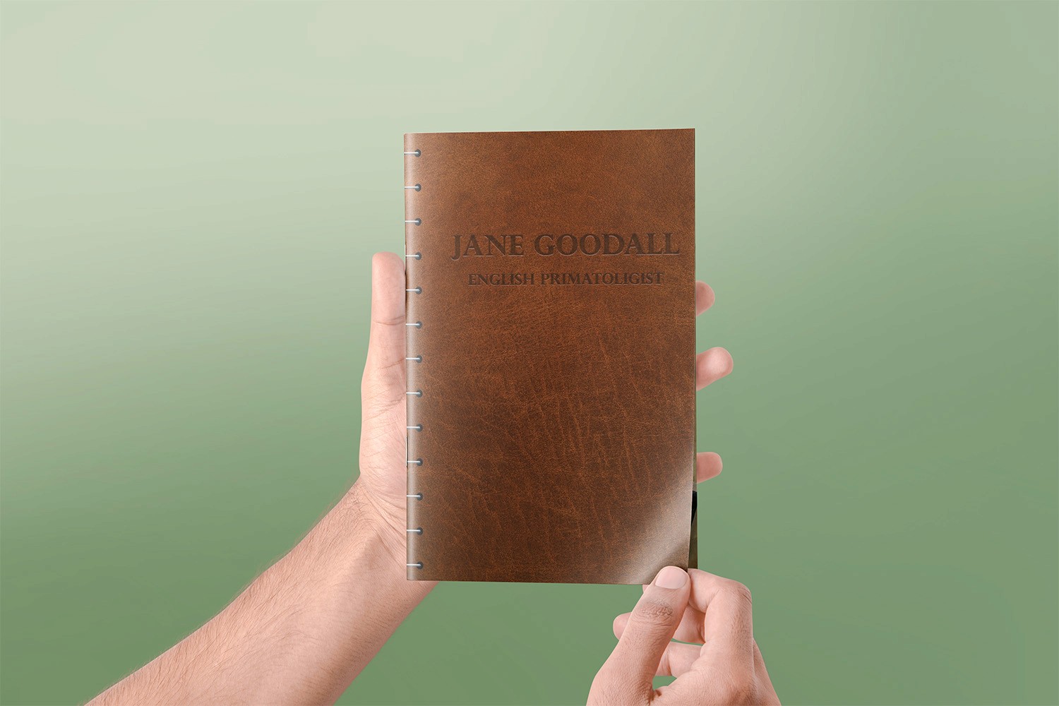 Poster of a simplified Aang and Appa flying through a mountain range