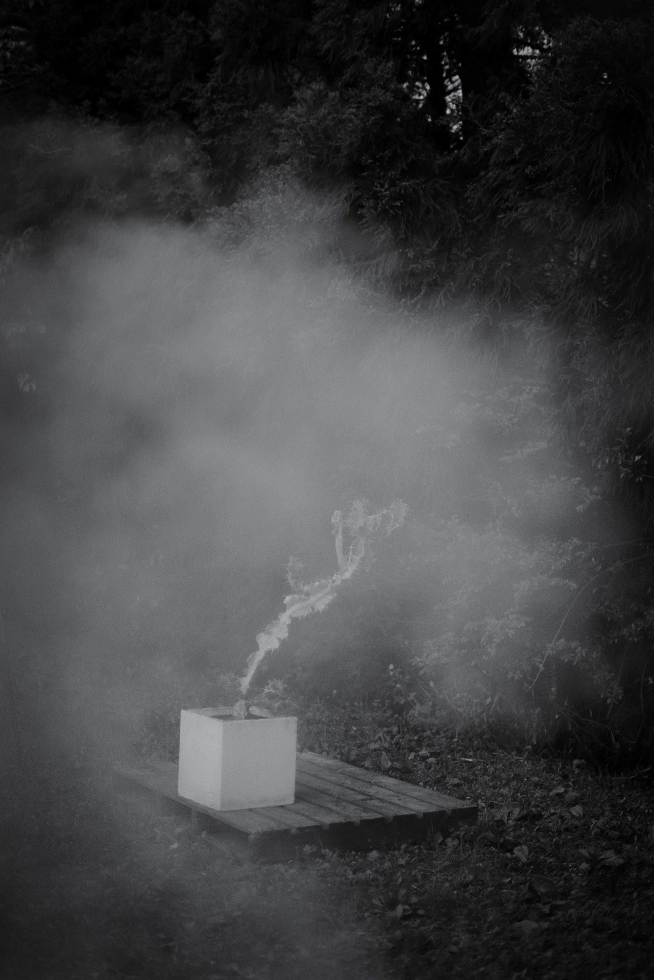 Taisei Matsumoto, archive random photograph 072