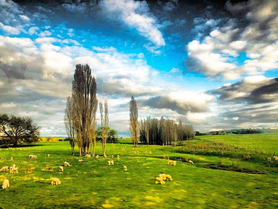 a building with persony windows