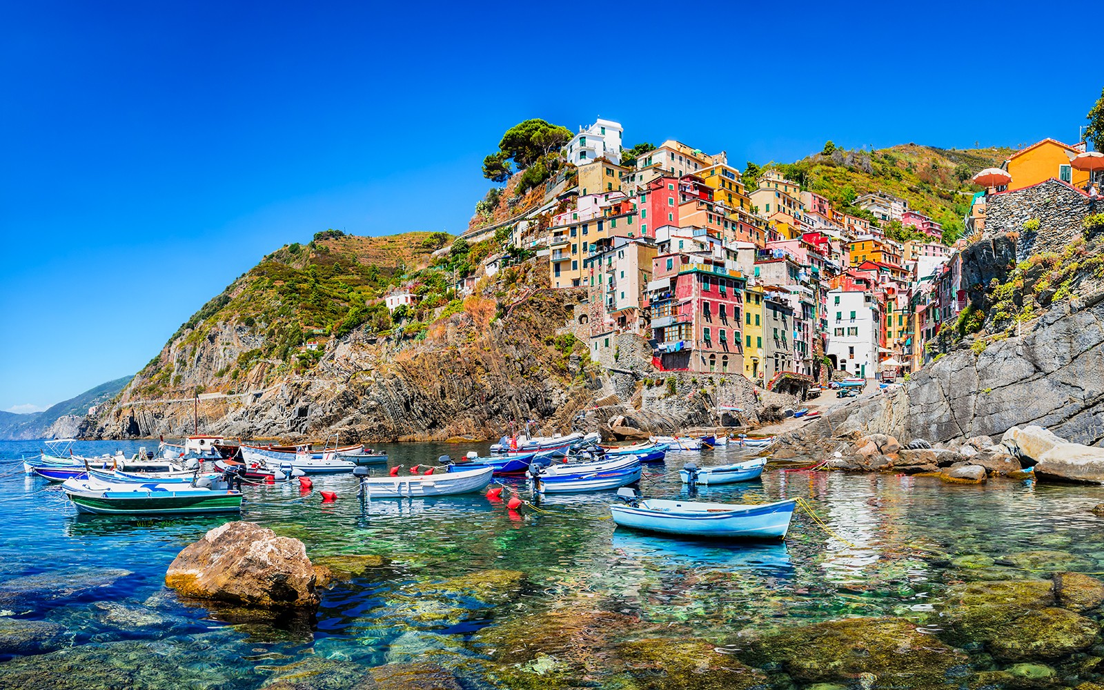 五漁村海岸景觀，色彩斑斕的懸崖村莊，是從佛羅倫薩出發的半私人導覽的一部分。