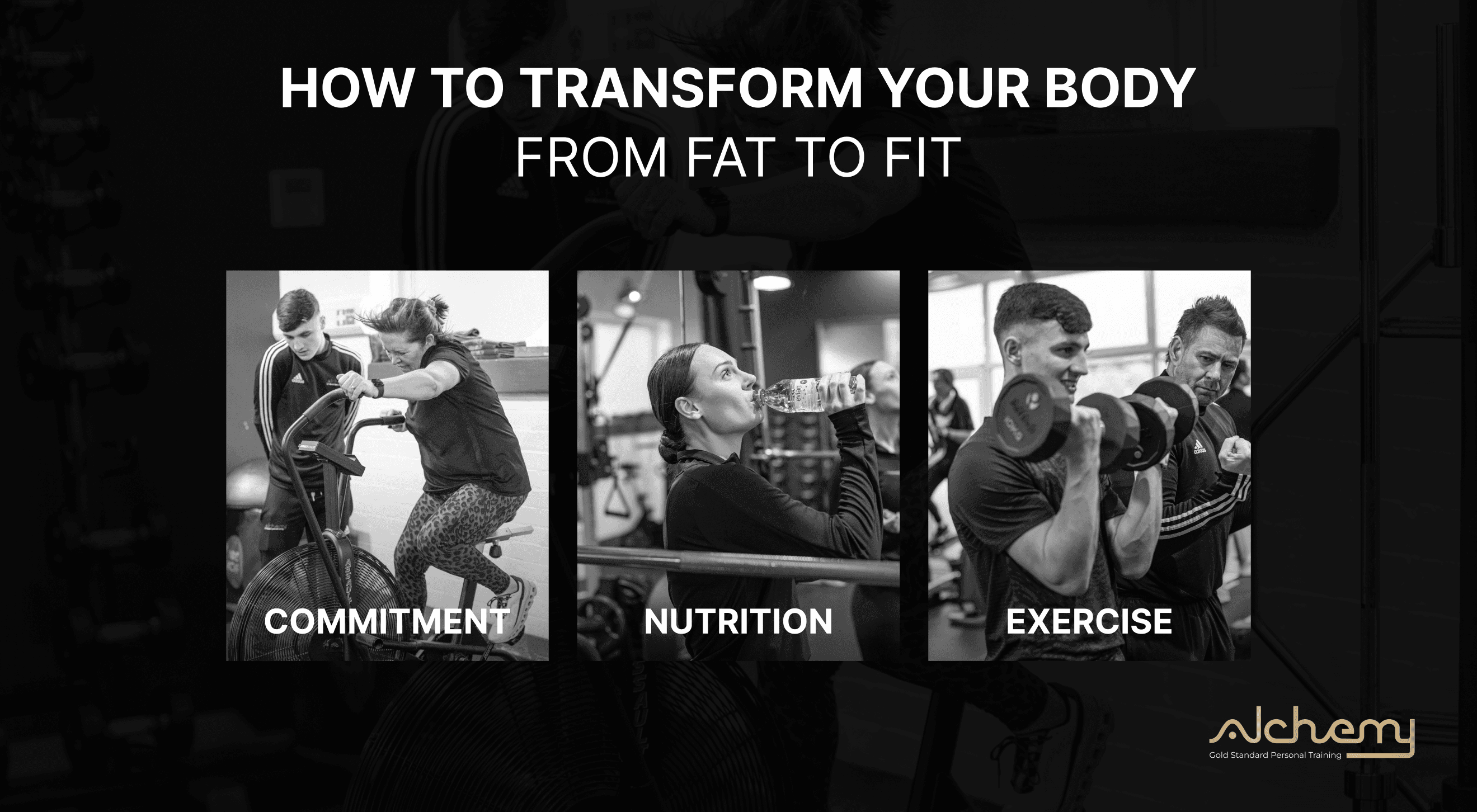 How to Transform Your Body From Fat to Fit