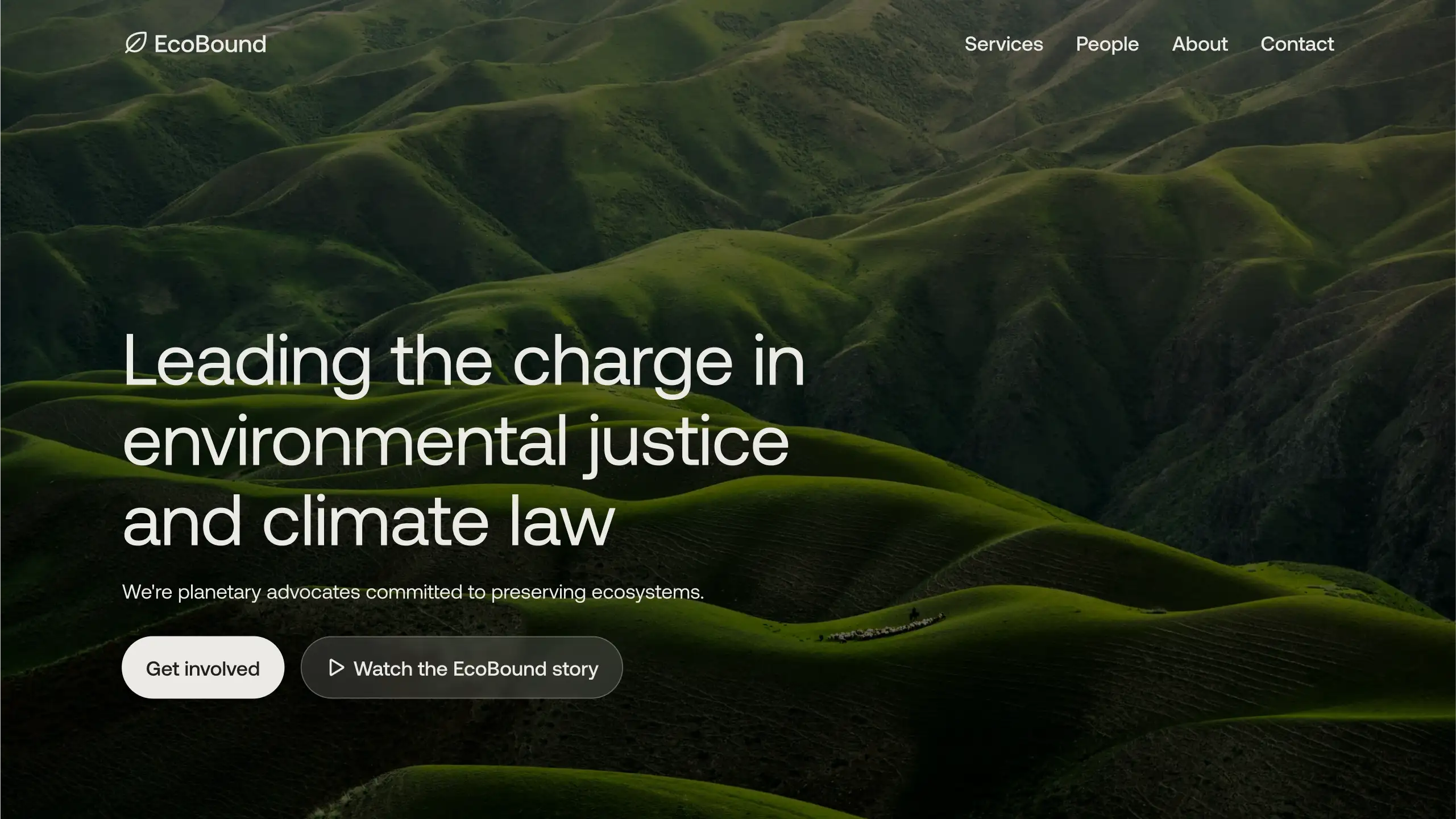 A landing page for a law firm focusing on environment justice and climate law