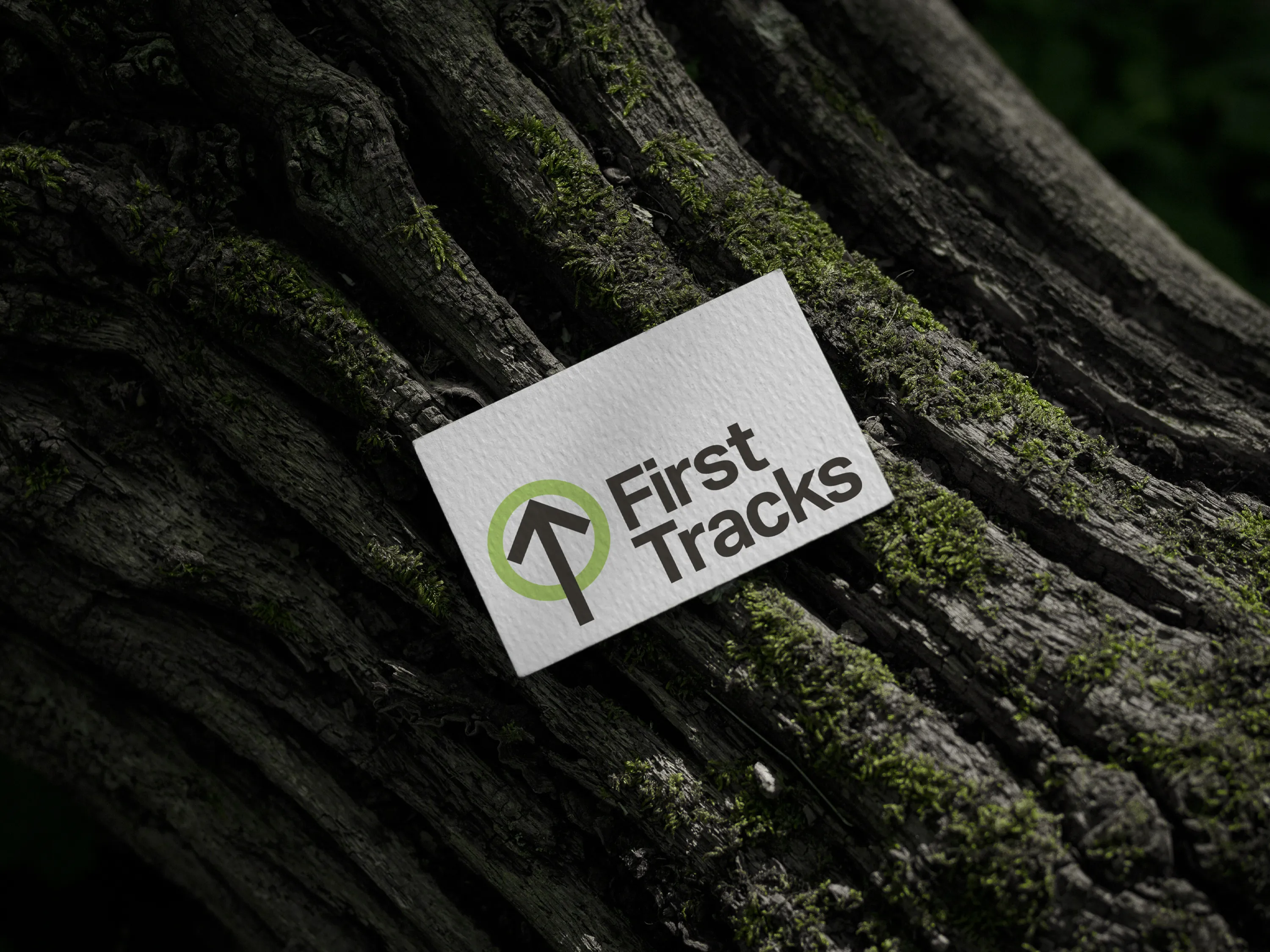 First Tracks logo