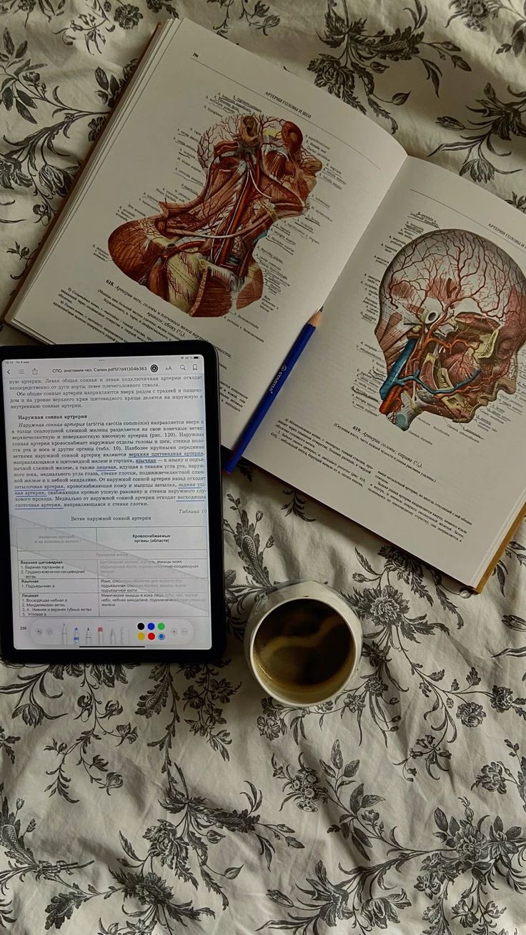 green plant in clear glass cup