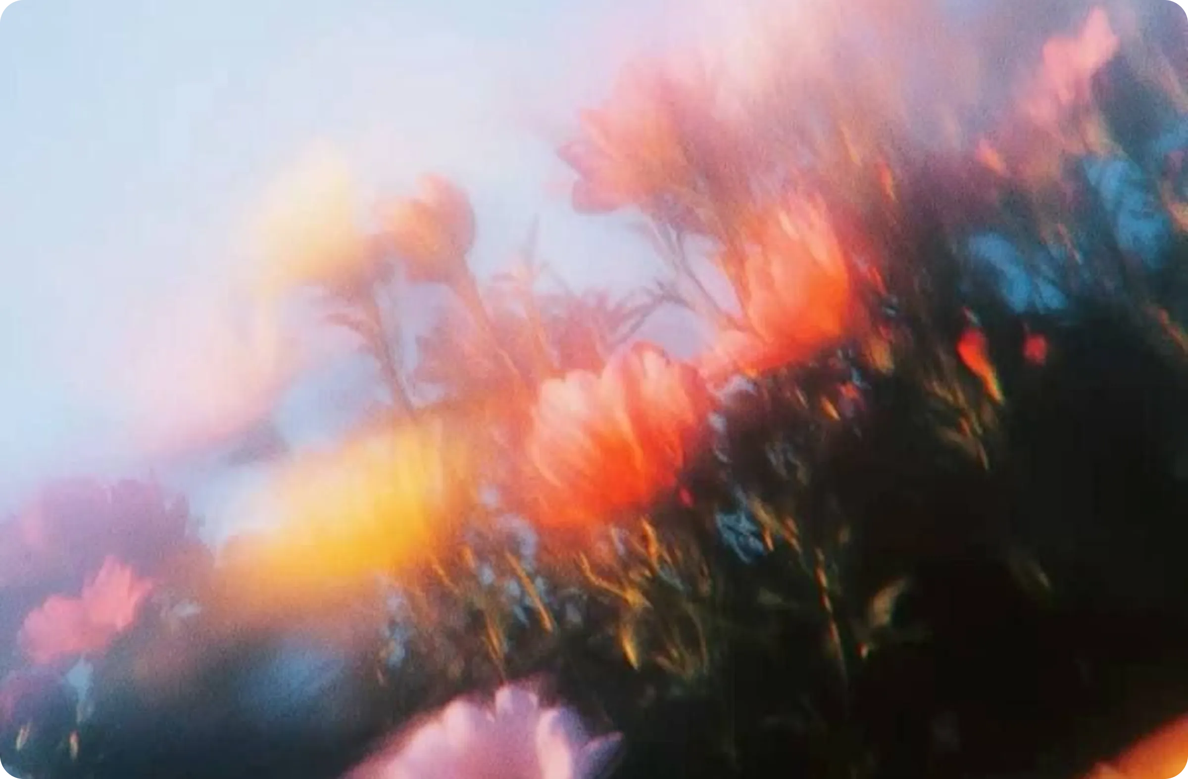 flower gurden