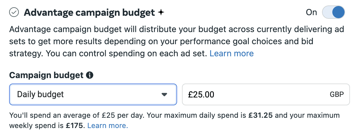 Advantage campaign budget settings toggled on