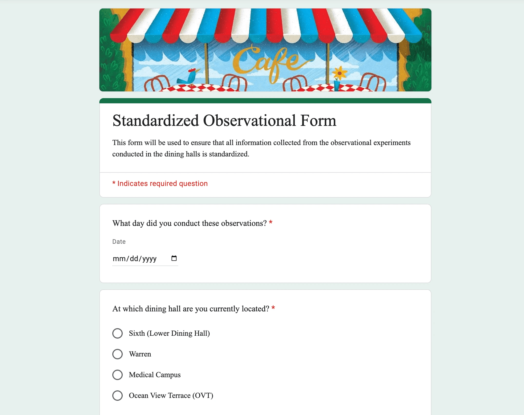 A screenshot of the standardized observational form used to record data during the naturalistic behavioral study.