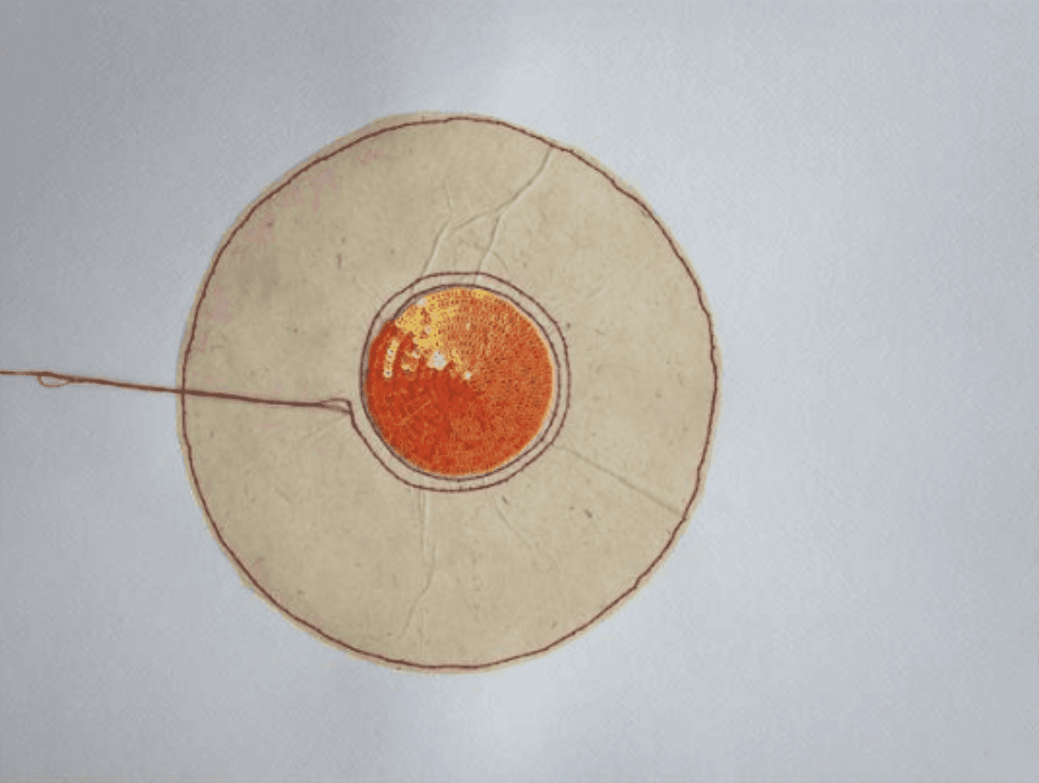 herd of sheep on road painting