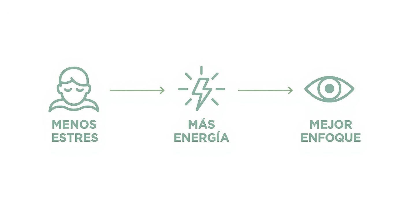 Infographic about servicio de masajes