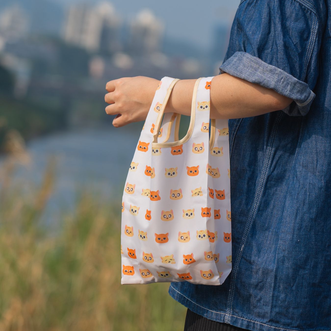 Close-up of evergreen foliage, showcasing vibrant green needles densely packed together.