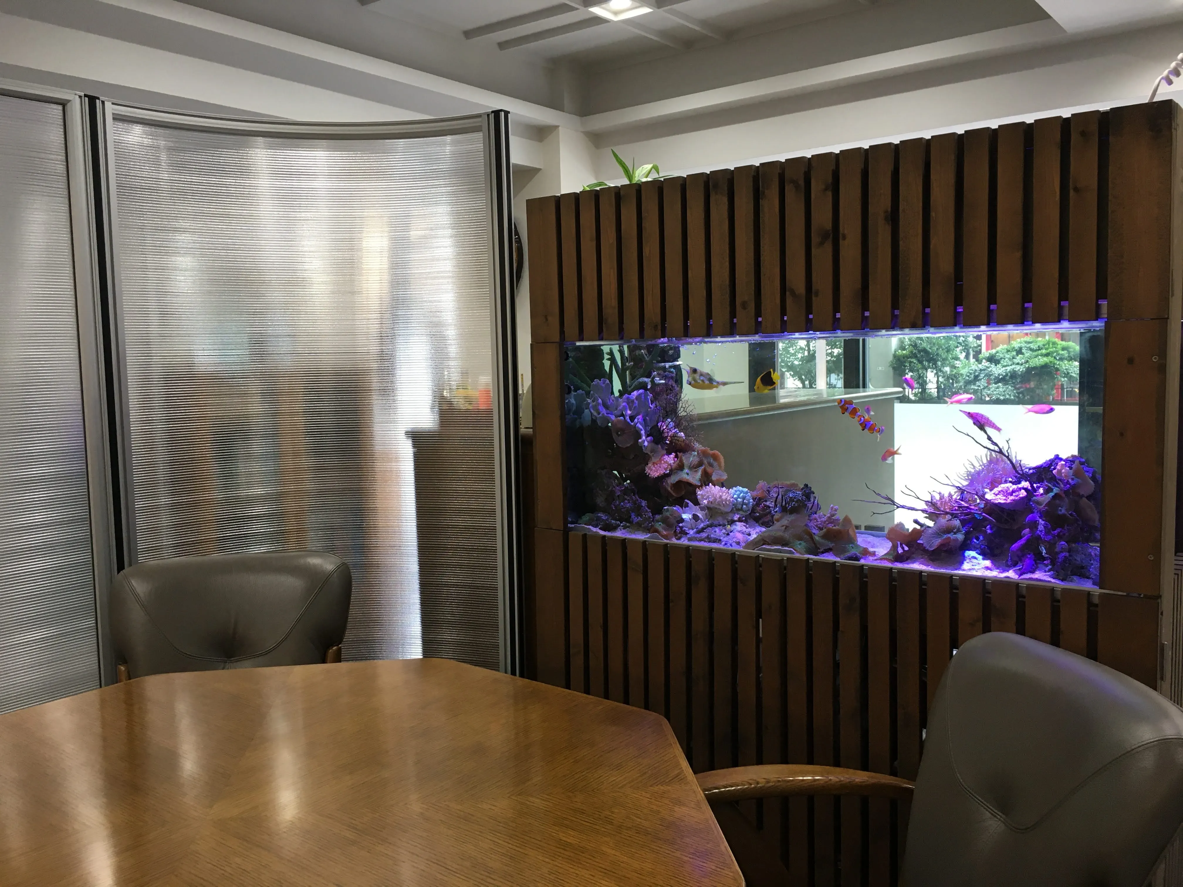 応接室の壁面に埋め込まれたマリンアクアリウムと落ち着いたインテリア