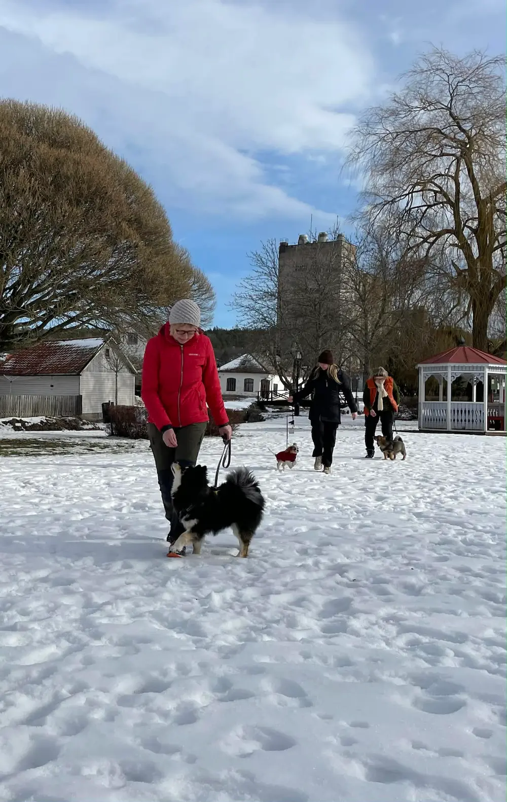 Tre hundförare och deras hundar genomför övningar på en hundkurs.