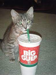 elven girl from nft collection celestials