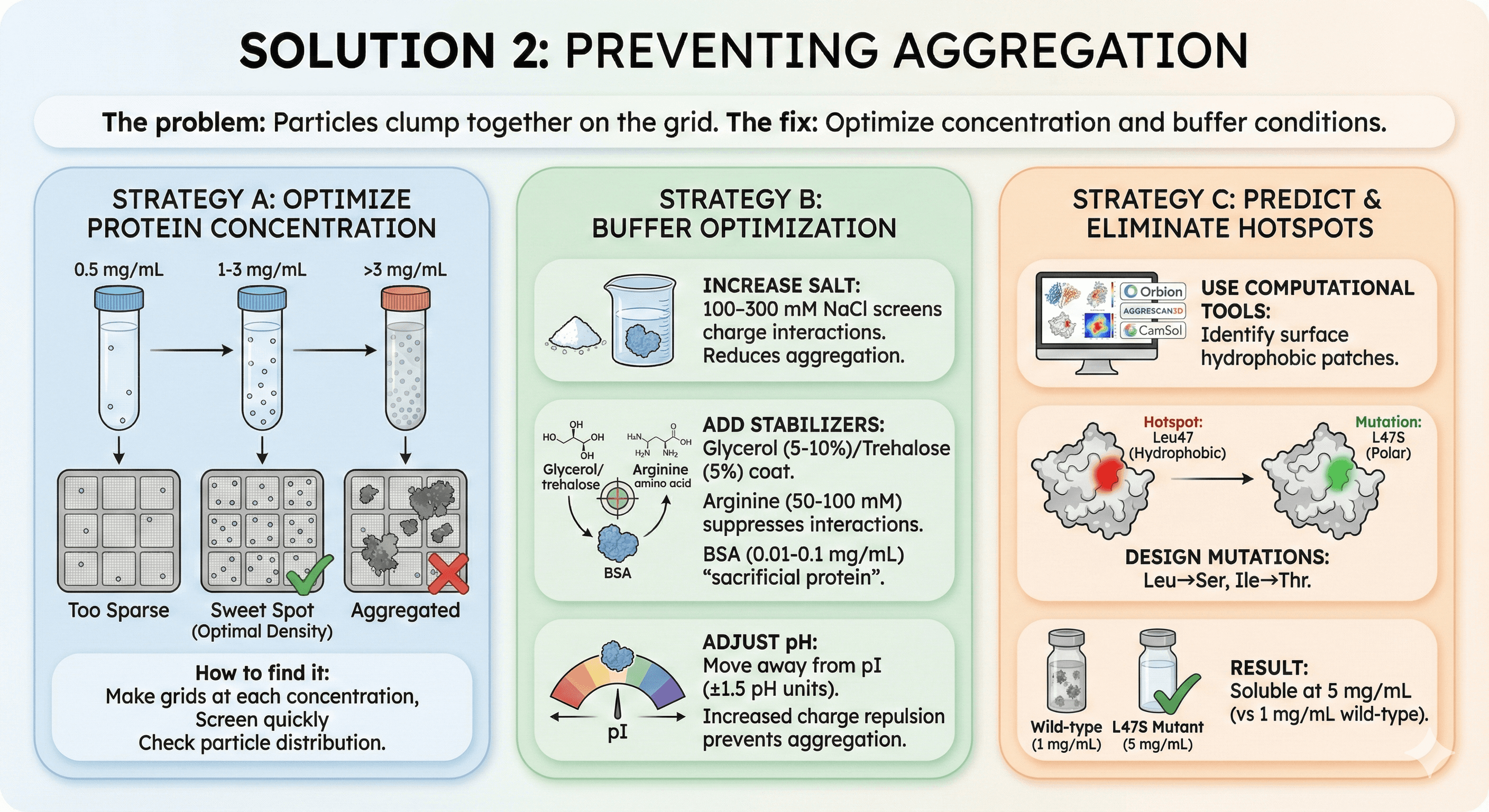 Diagram Explaining How to Prevent Aggregation for Cryo-EM Sample Prep