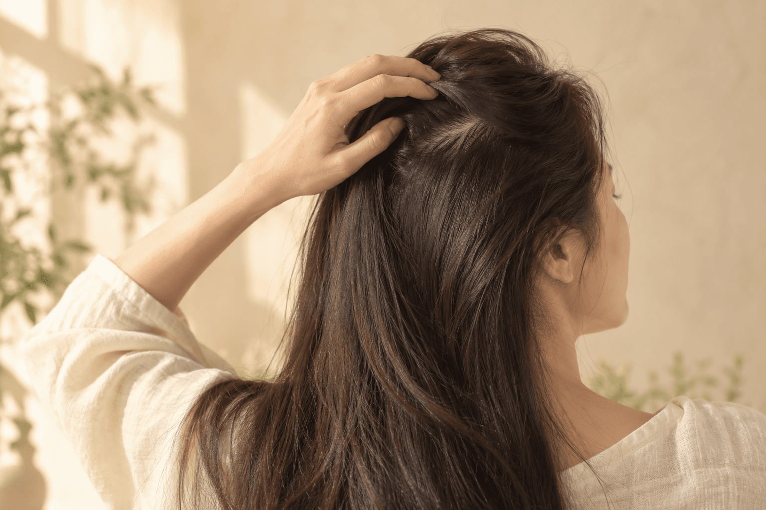 따뜻한 자연광 아래 모발을 살펴보는 성인 여성 모델