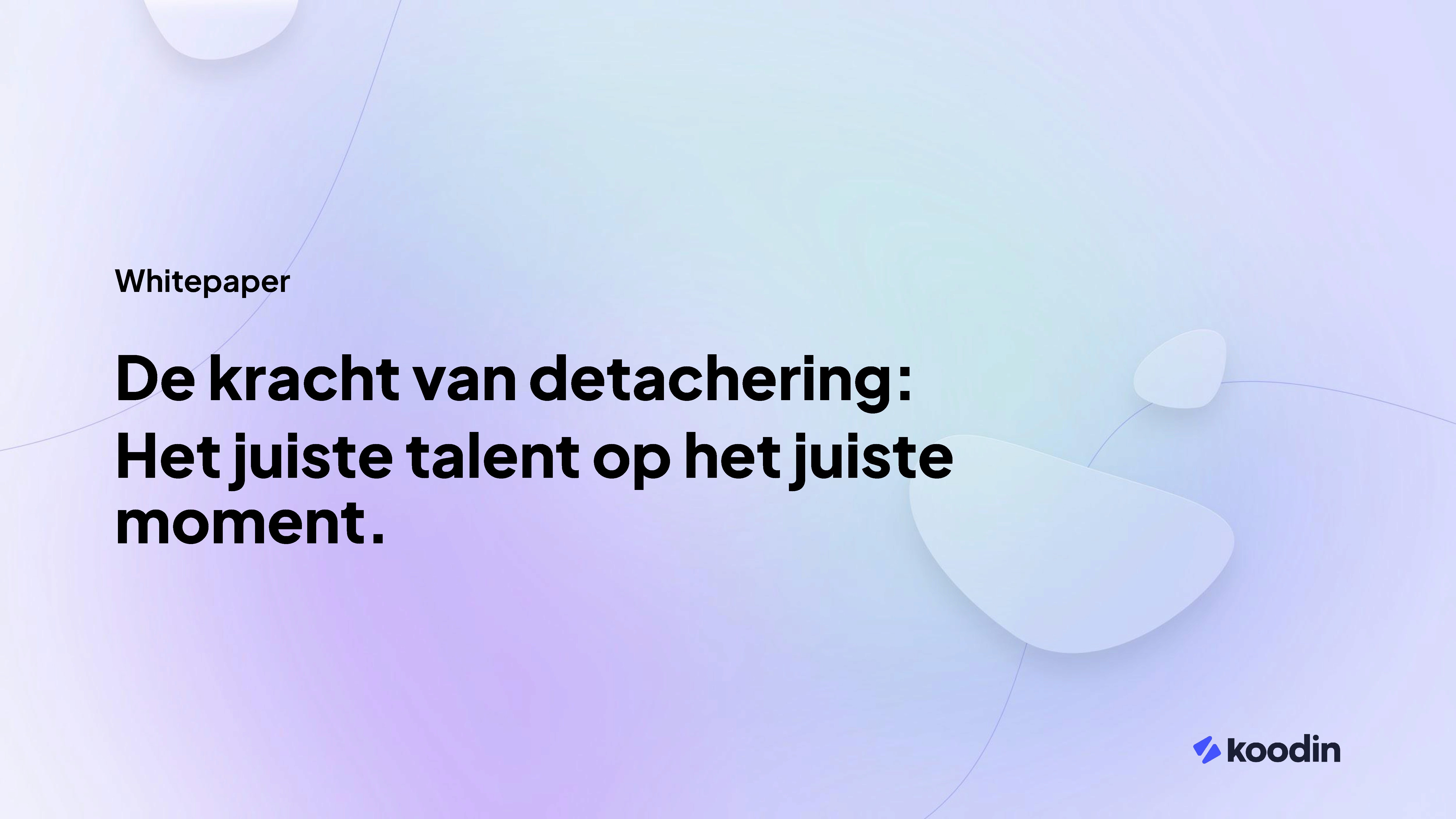 Coverbeeld whitepaper detachering