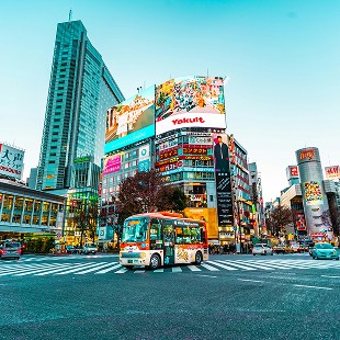 Tokyo New Story