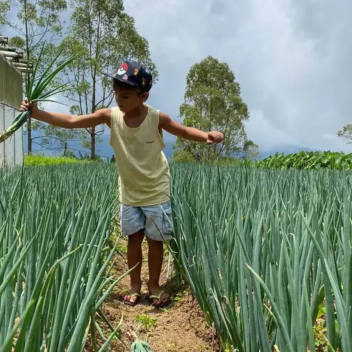 quoteChild holding green onions in a vegetable field