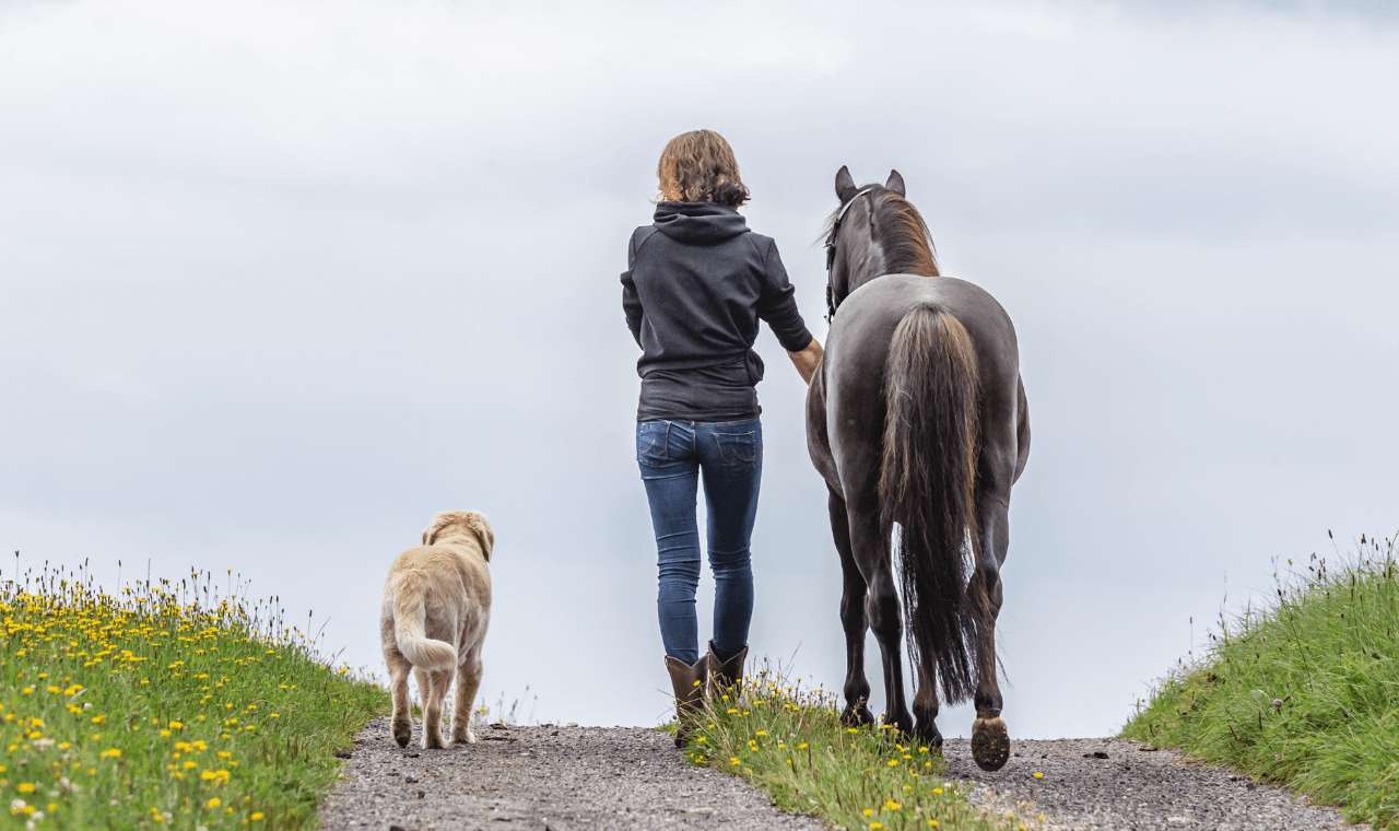 Woman with dog and horse