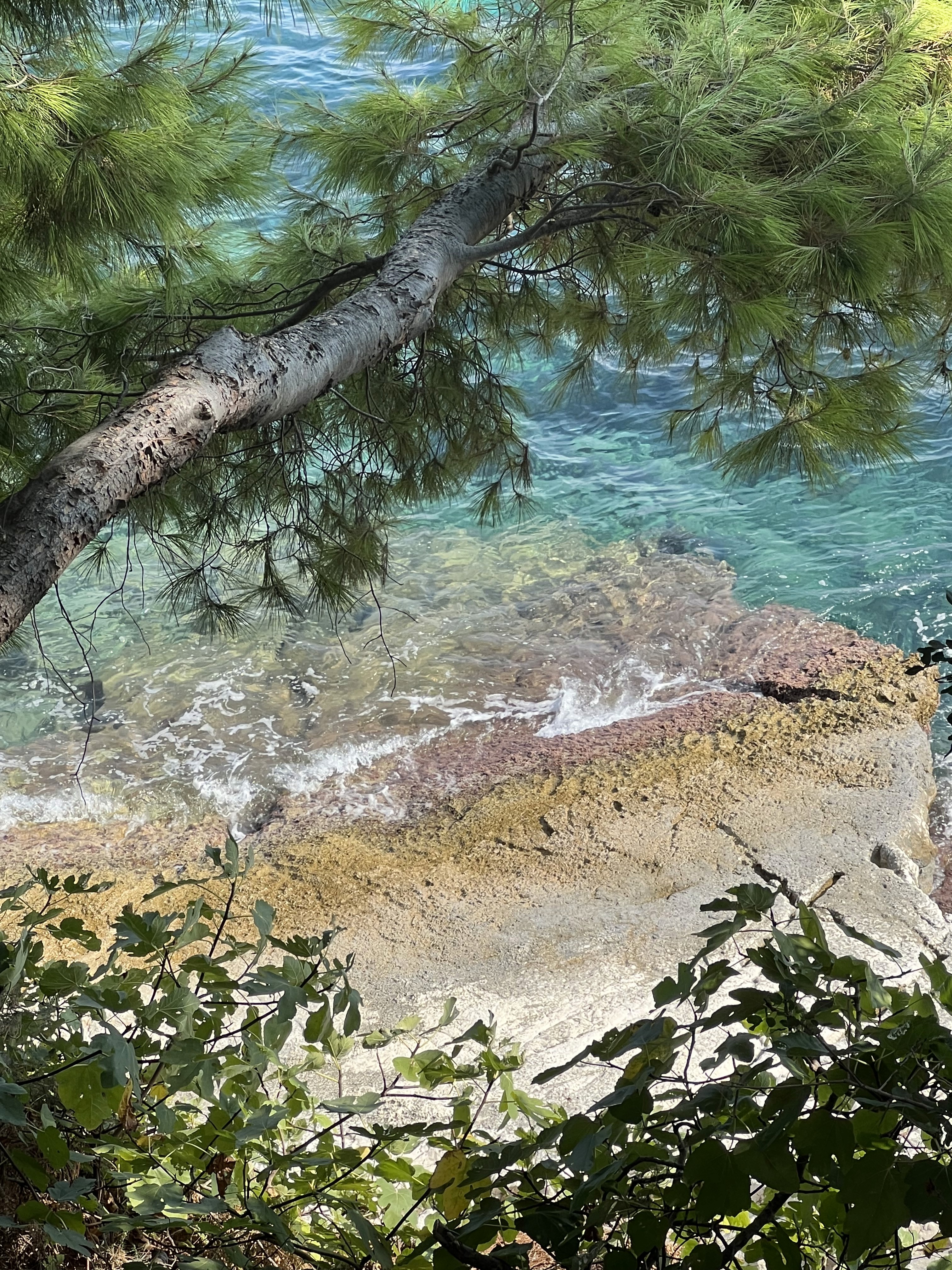 blue sky and white clouds over the sea