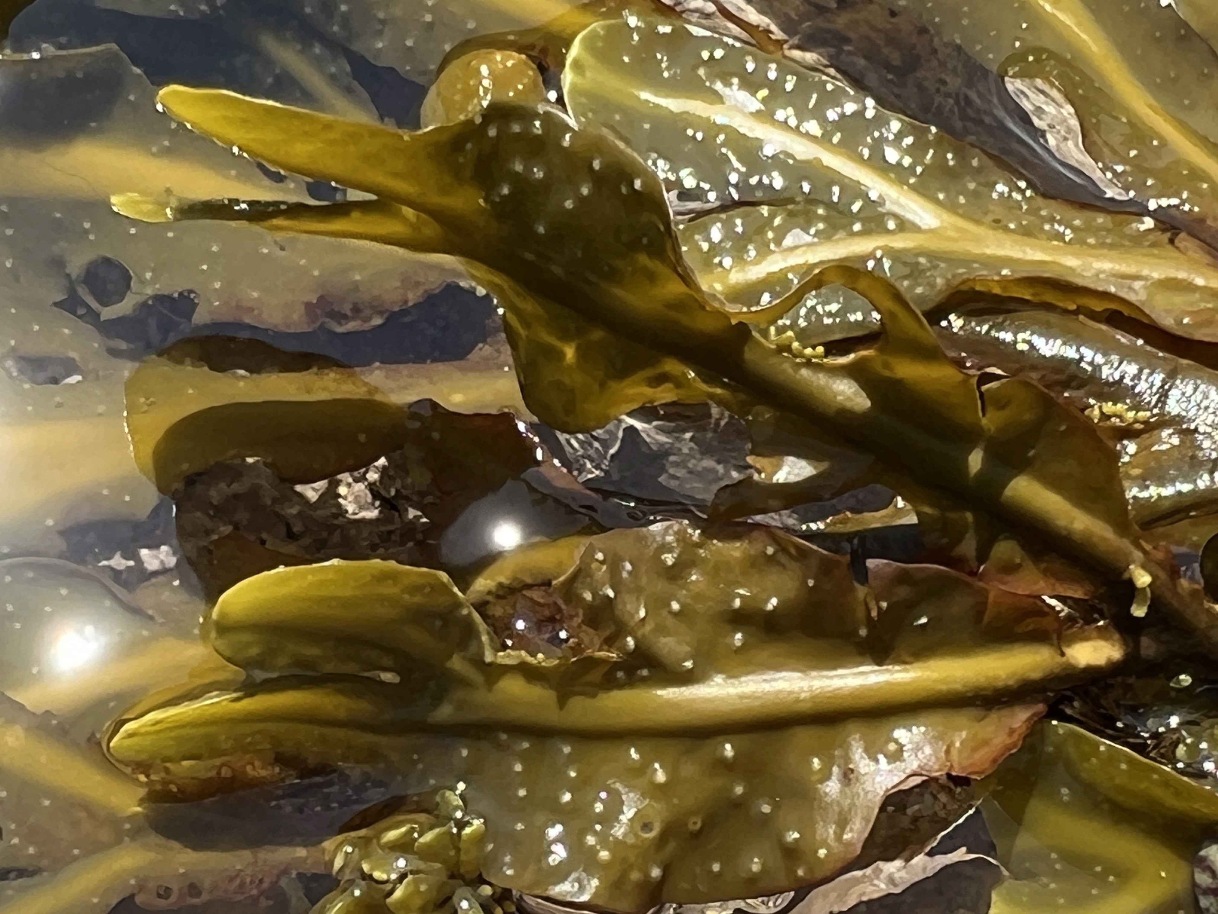 blue sky and white clouds over the sea