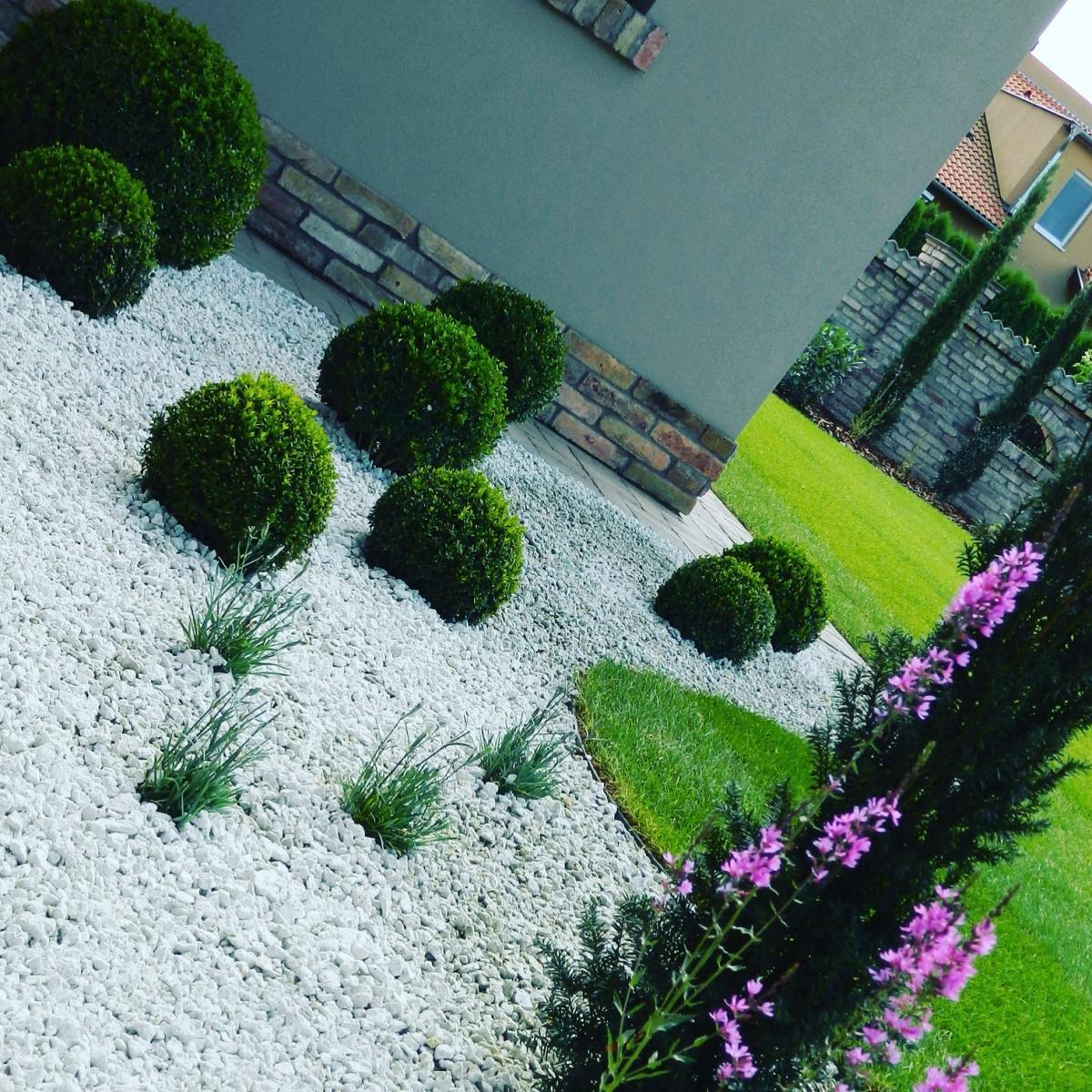 Sziklakert épitése olajfával modern családi ház mellett