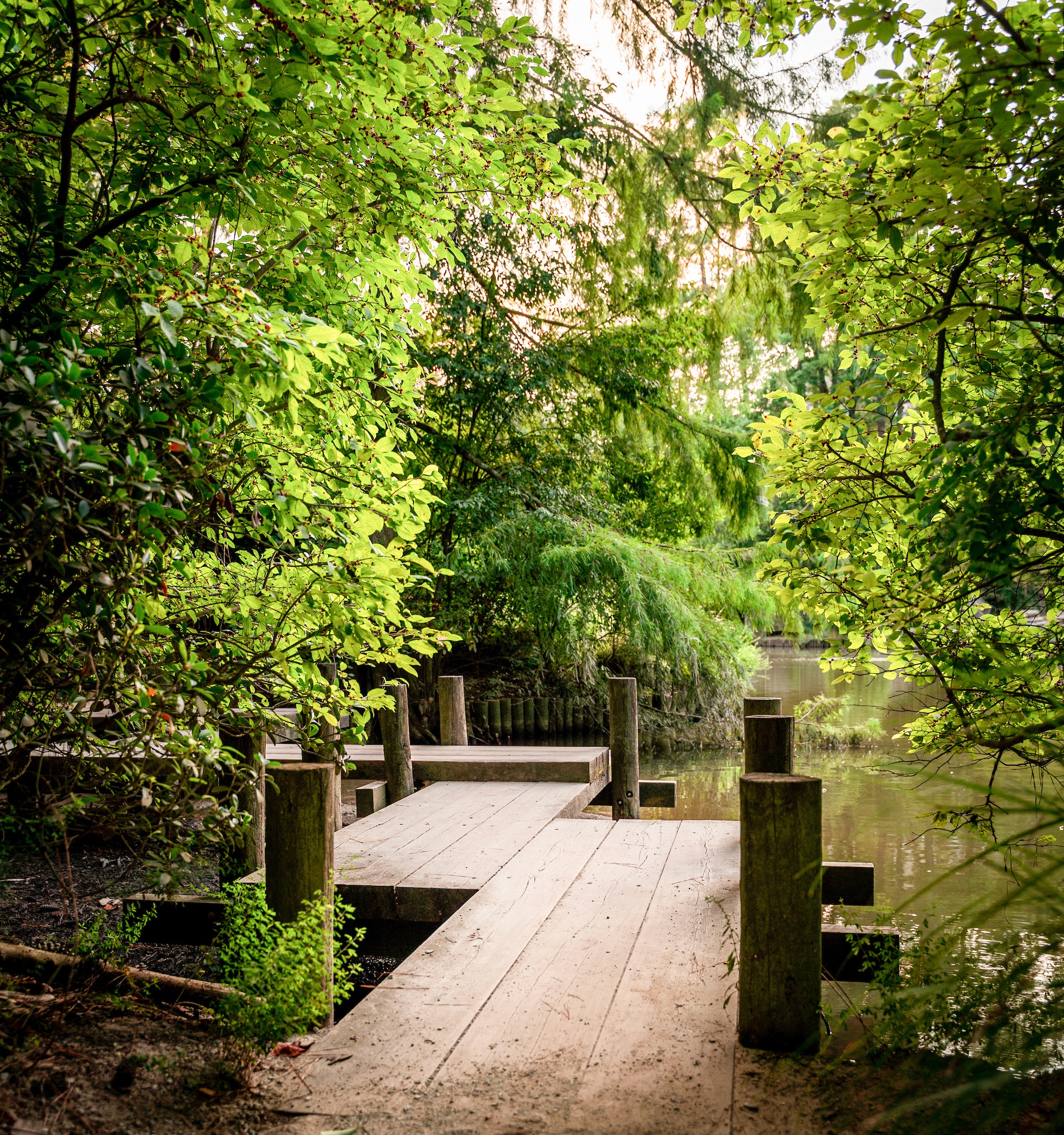 Sarah P. Duke Gardens in Durham [© Discover Durham]
