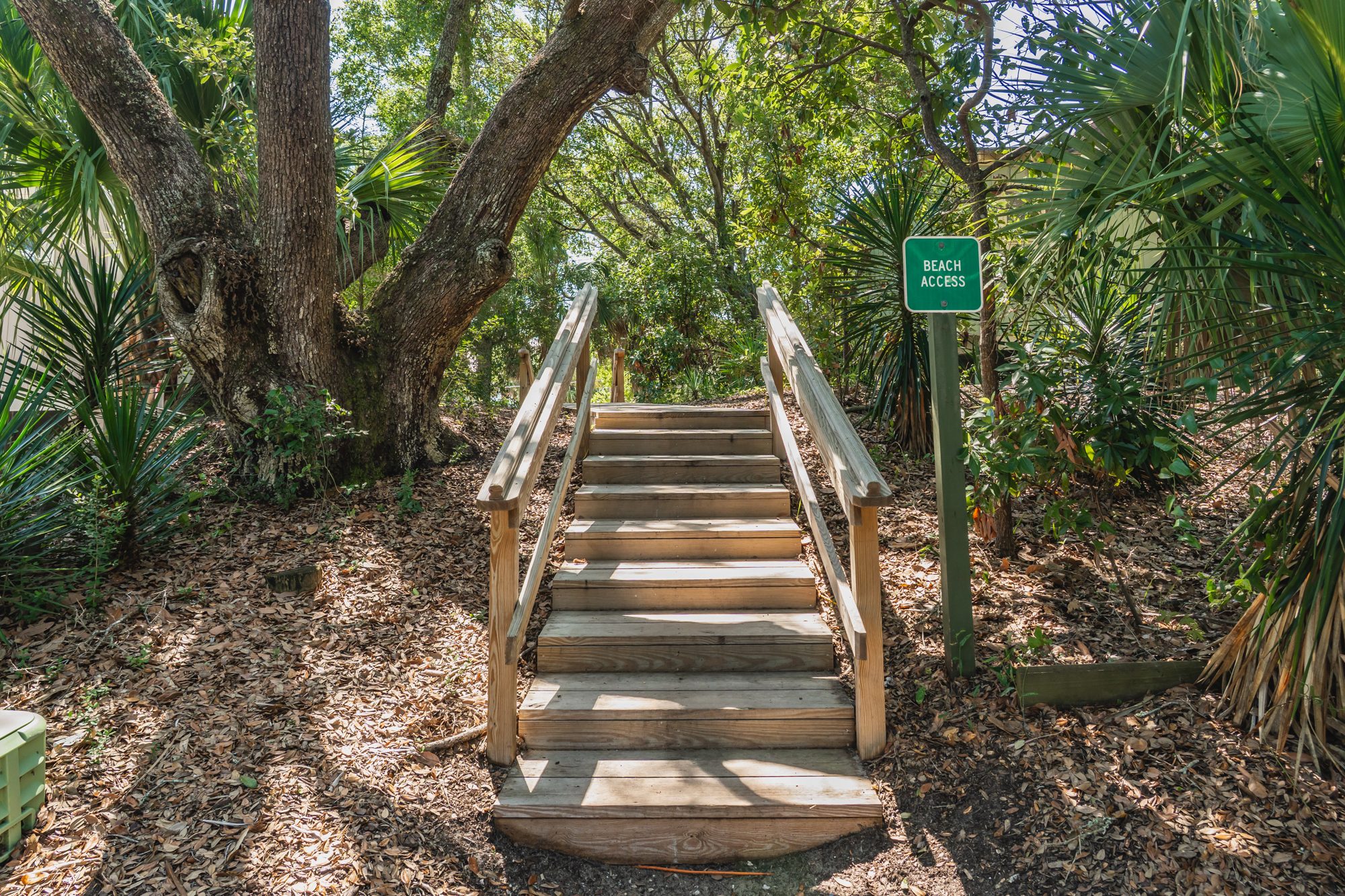 Wooden stairs on the beach path near 19 Sandcrab Court