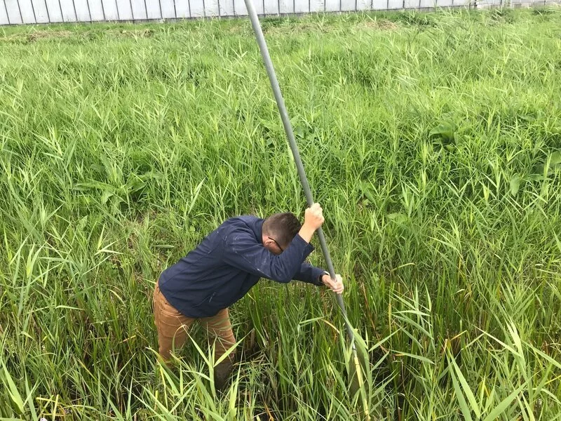 Werken bij Blom Ecologie