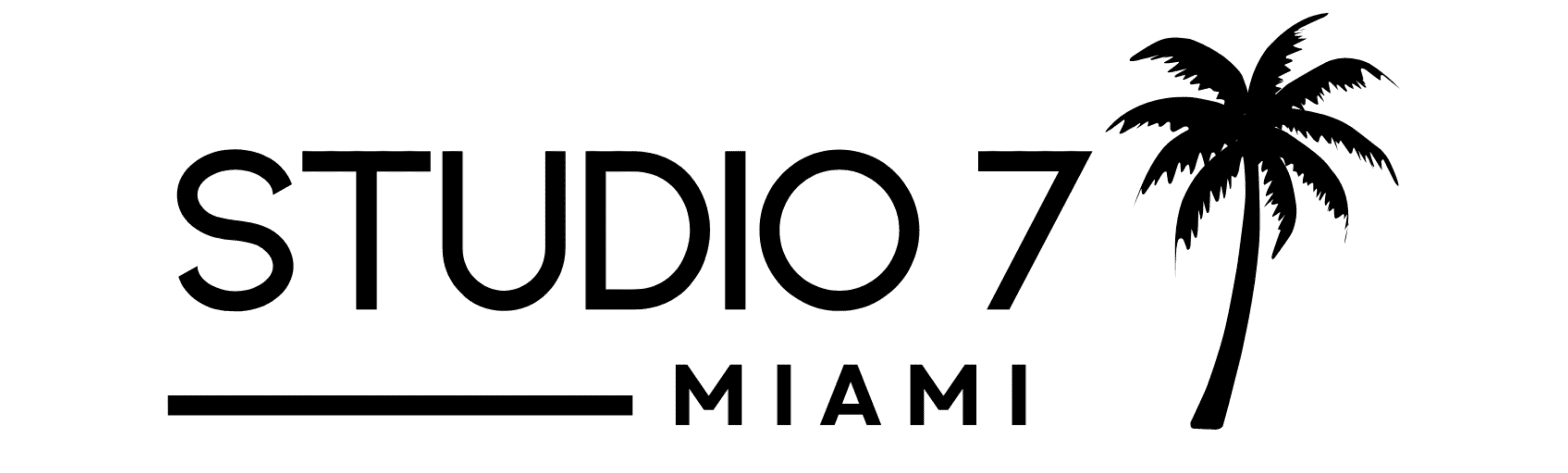 Studio 7 Miami + Palm Tree