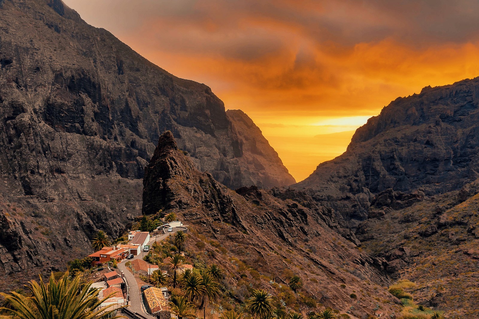 person holding green glass bottle