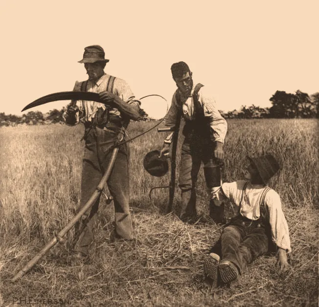Erntearbeit: Ursprung der türkischen Küche bei Mangal Mezze & Grill Saarbrücken.