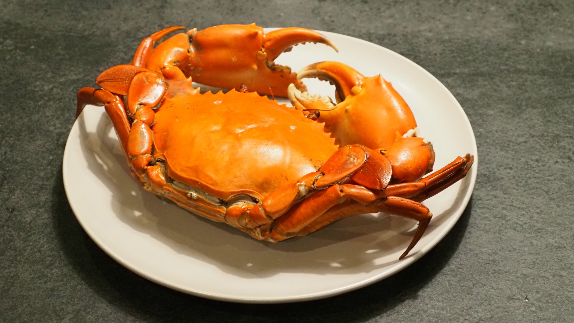 medium rare sliced steak in white ceramic plate