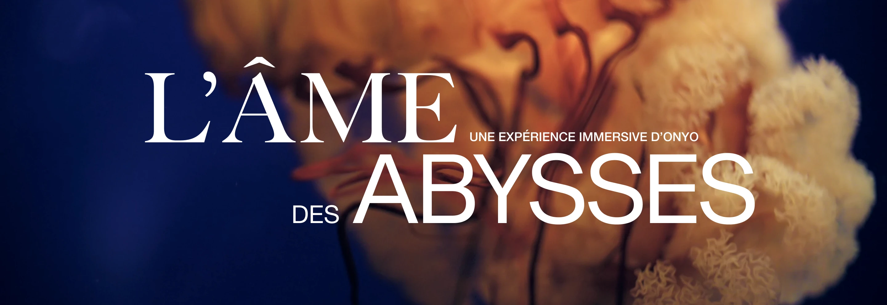 Banner avec le logo du projet