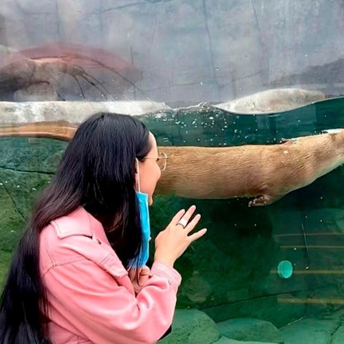 Acuario Michin Puebla