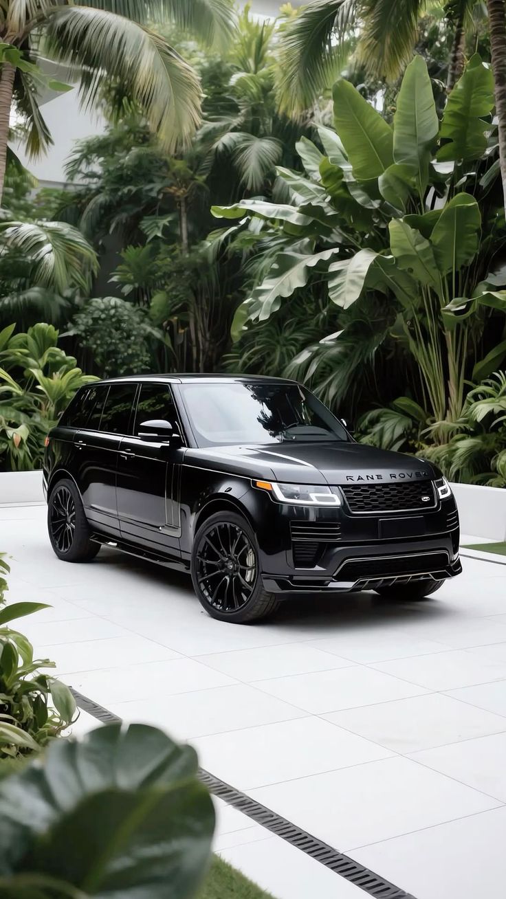 Create Porsche 911 GT3 RS. Picture have to be neither bright, neither dark.