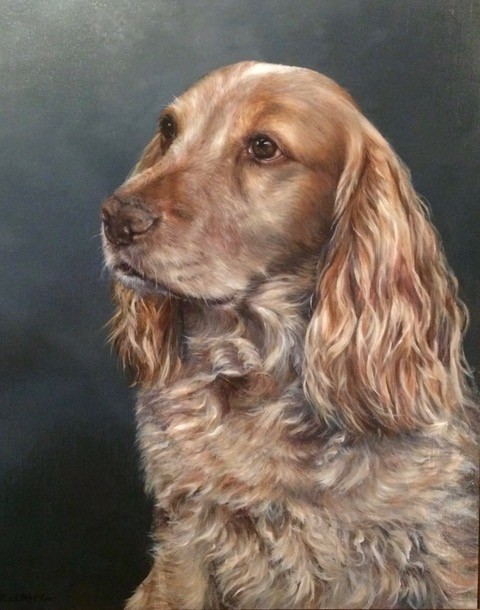 apricot spaniel painting with plain background