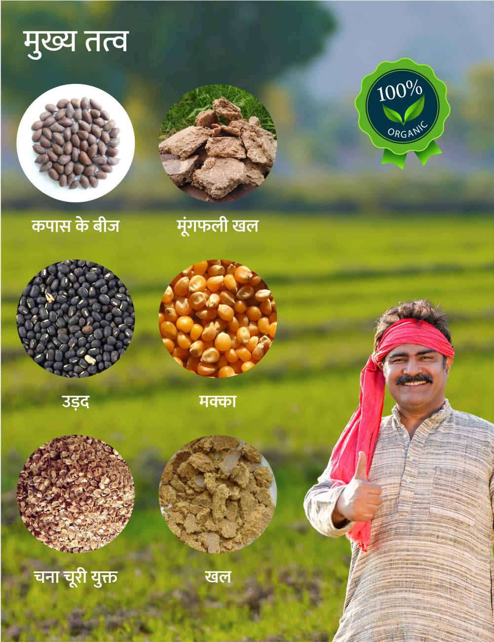 Premium Payal Raj bhoj mesh ingredients