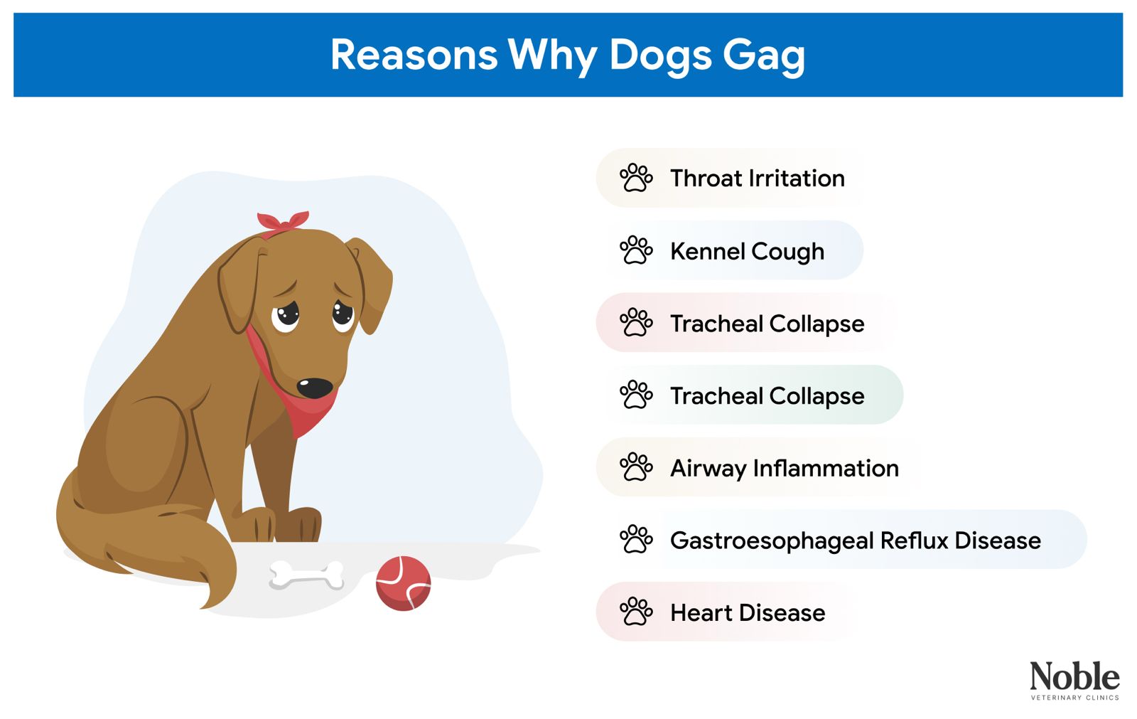 An infographic showing the reasons why dogs gag.