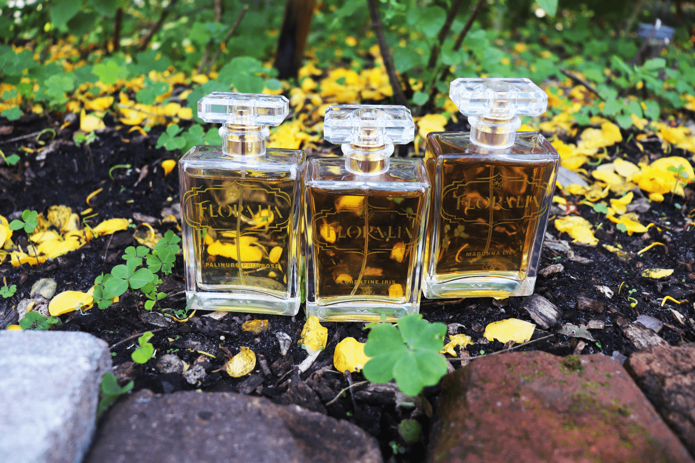 The image featured in the carousel #4