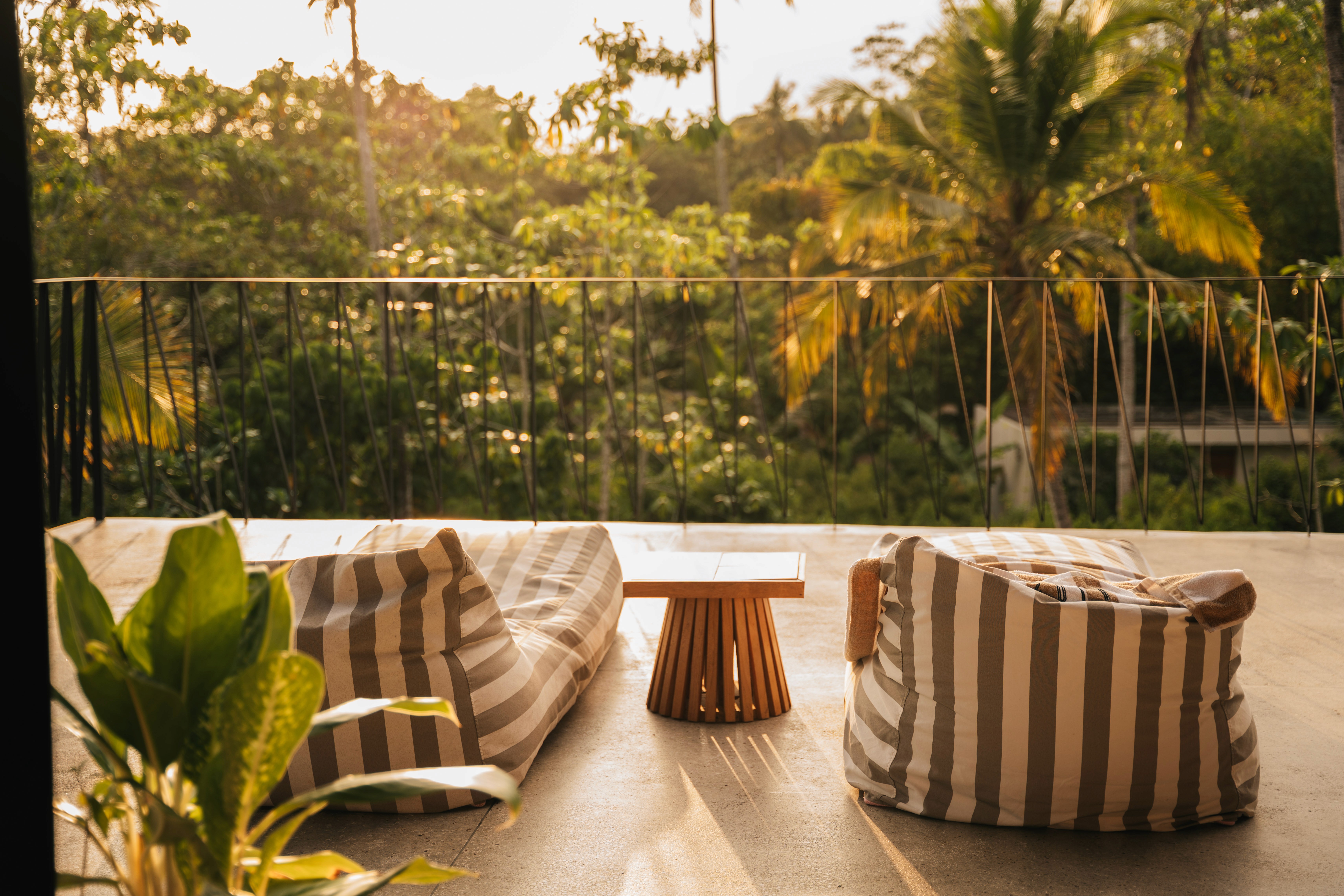 Restaurant of a boutique hotel surrounded by palmtrees at golden hour