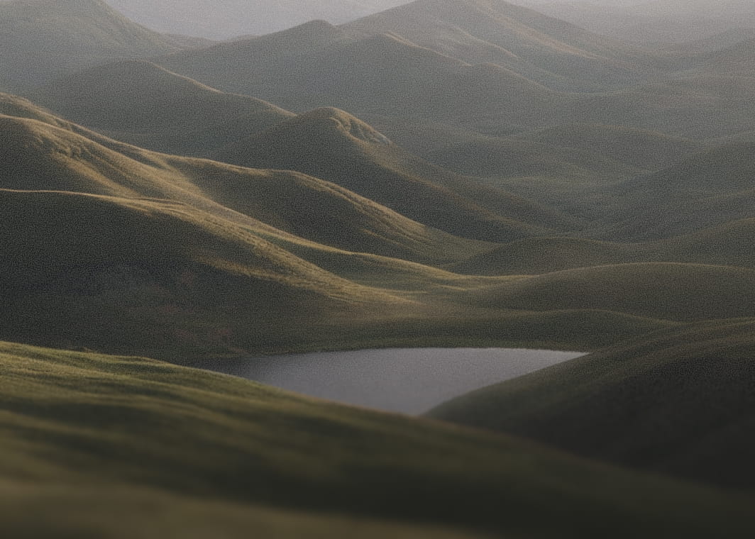 Customer testimonial