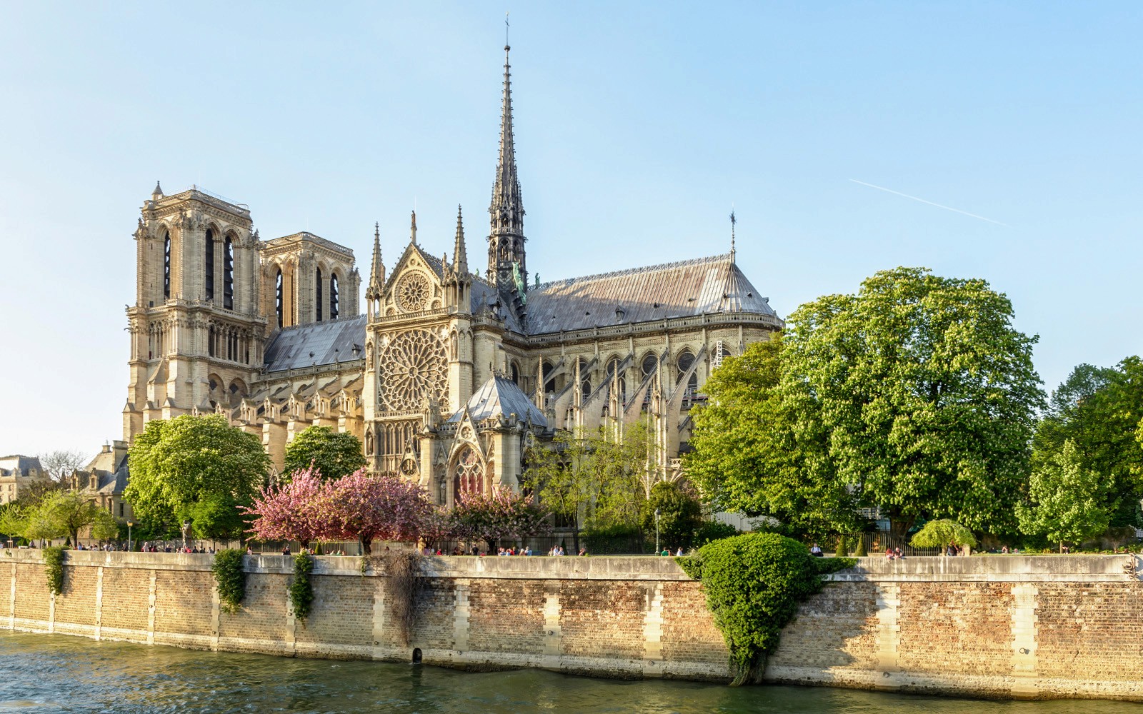 巴黎塞纳河畔绿树环绕的巴黎圣母院外观。