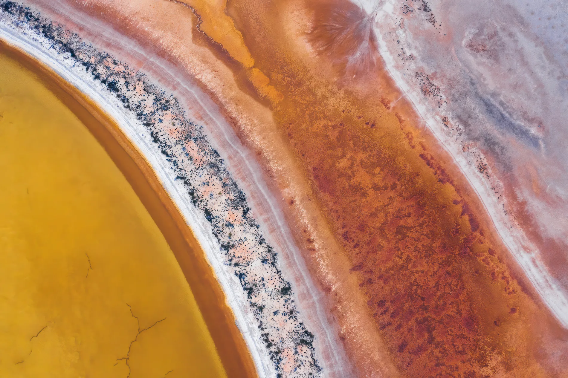 Aerial of a yellow brine pond edged by a pale crusted bank